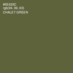 #5E633C - Chalet Green Color Image